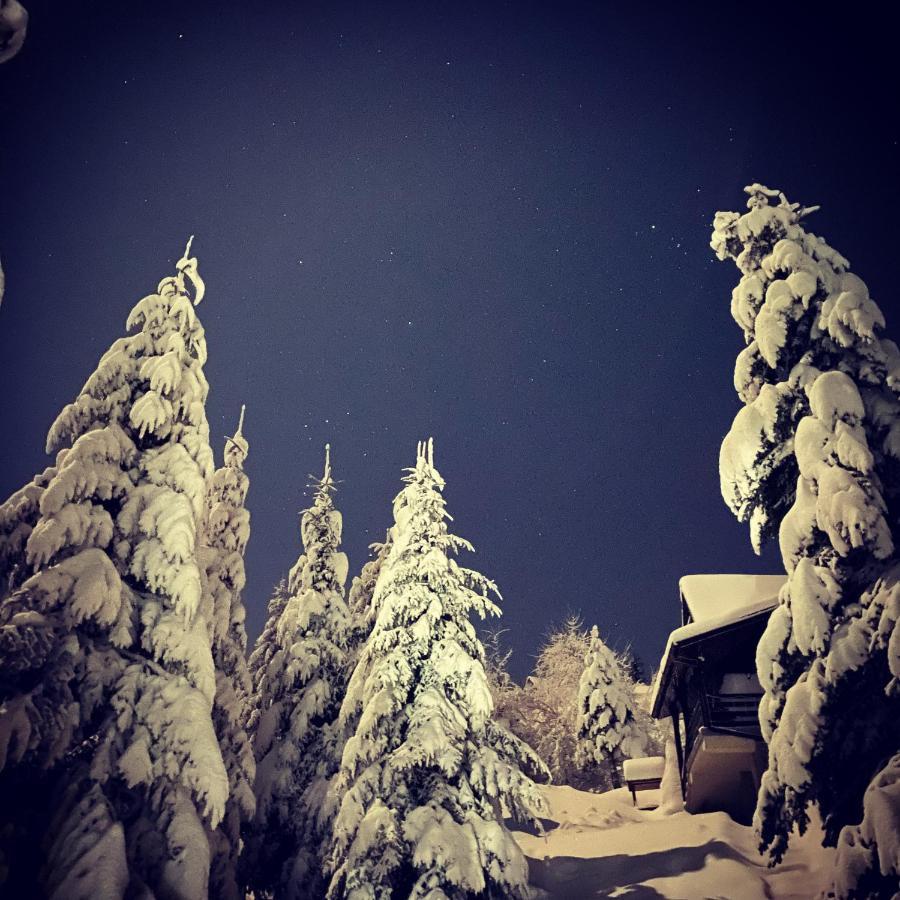 Mountain Cottage Lubomierz Lubomierz  외부 사진